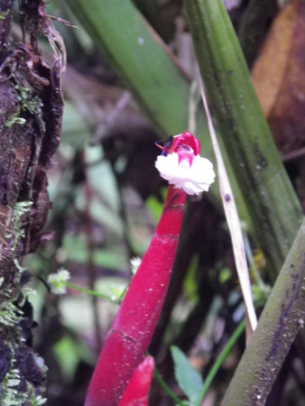 f:id:uchikoyoga:20120820172337j:image:h350 f:id:uchikoyoga:20120820172337j:image:h350