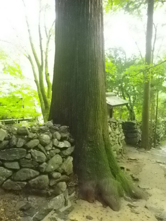 f:id:uchikoyoga:20120920230534j:image:h350