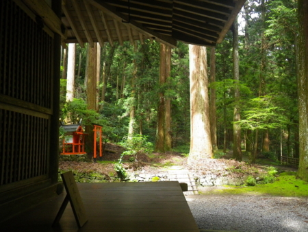 f:id:uchikoyoga:20120920230552j:image:w350