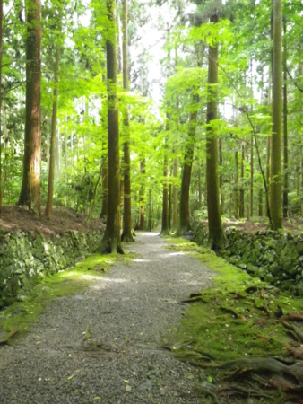 f:id:uchikoyoga:20120920230555j:image:h350