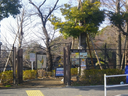 f:id:uchikoyoga:20130120221103j:image:w350