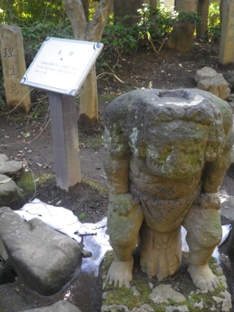 f:id:uchikoyoga:20130120221106j:image:h350