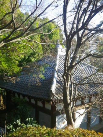 f:id:uchikoyoga:20130120221121j:image:h350
