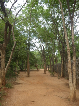f:id:uchikoyoga:20130201182322j:image:h350 f:id:uchikoyoga:20130201182322j:image:h350