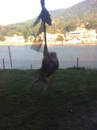 f:id:uchikoyoga:20130214124403j:plain f:id:uchikoyoga:20130214124403j:plain