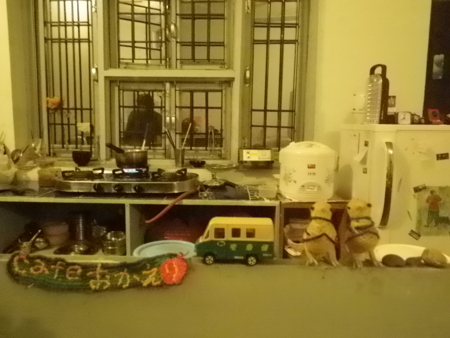 f:id:uchikoyoga:20130219083937j:image:w350