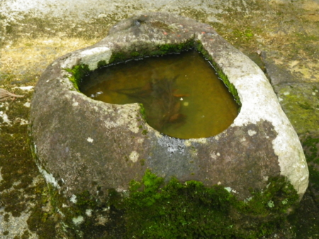 f:id:uchikoyoga:20130816170642j:image:w350