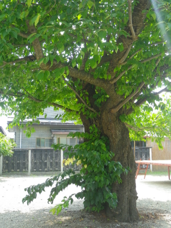 f:id:uchikoyoga:20131007224742j:image:h350