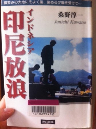 インドネシア放浪   桑野 淳一 (著)