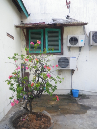 f:id:uchikoyoga:20140510005051j:image:h350