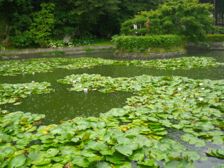 f:id:uchikoyoga:20140814130856j:image:w350 f:id:uchikoyoga:20140814130856j:image:w350