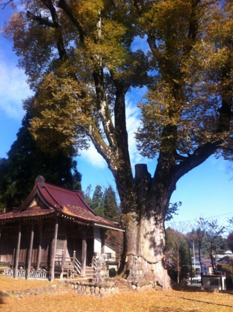 f:id:uchikoyoga:20141114223941j:image:h400