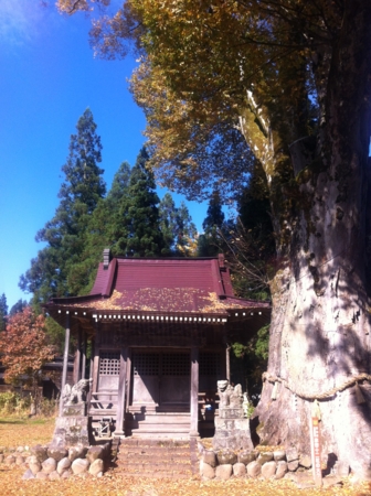 f:id:uchikoyoga:20141114223943j:image:h400