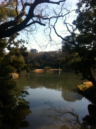 f:id:uchikoyoga:20150129074450j:image:h400