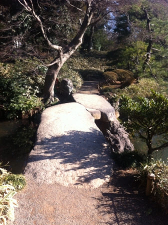 f:id:uchikoyoga:20150129074452j:image:h400