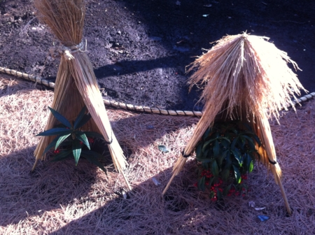 f:id:uchikoyoga:20150129074455j:image:w400