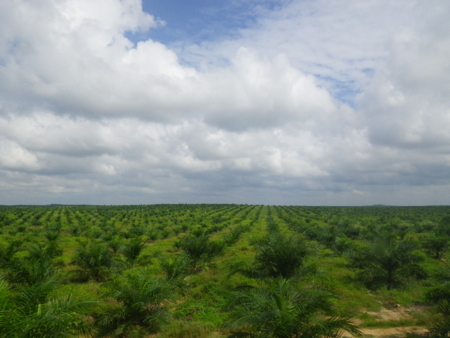 f:id:uchikoyoga:20160108194158j:image:w400