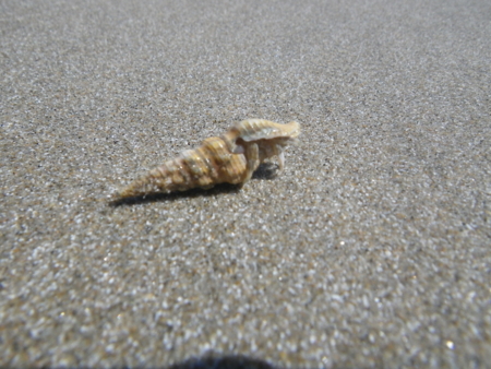 f:id:uchikoyoga:20160108210600j:image:w400