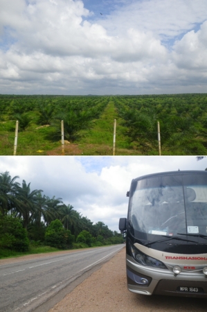 f:id:uchikoyoga:20160116200708j:image:h400:right