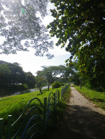 f:id:uchikoyoga:20160118184059j:image:h400