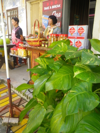 f:id:uchikoyoga:20160118184106j:image:h400