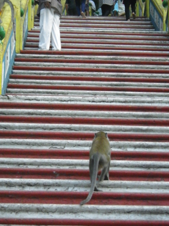 f:id:uchikoyoga:20160118221550j:image:h400