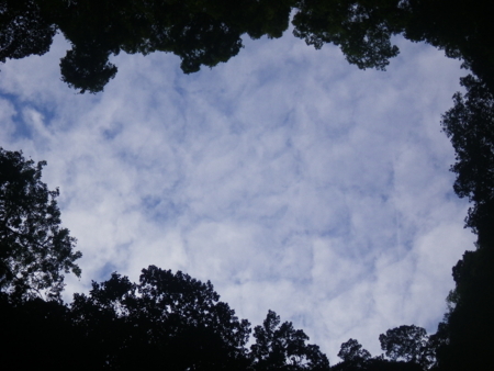 f:id:uchikoyoga:20160118221606j:image:w400