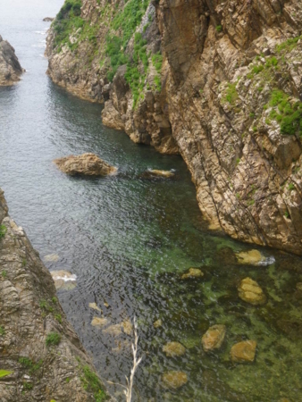 f:id:uchikoyoga:20160708013113j:image:h350:right
