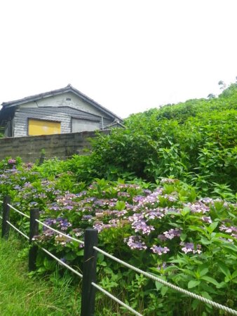 f:id:uchikoyoga:20160708013124j:image:h400