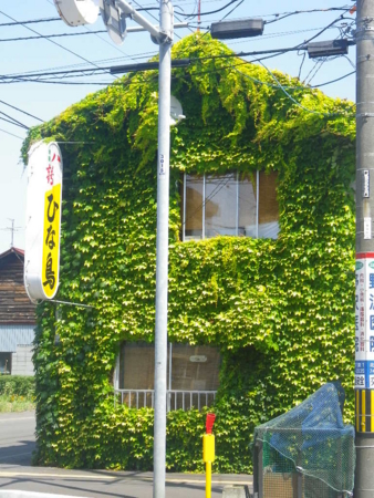 f:id:uchikoyoga:20160812152709j:image:h400