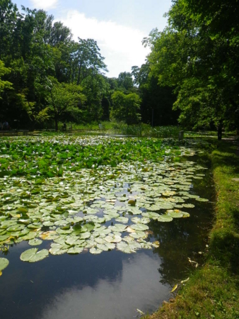 f:id:uchikoyoga:20160812152728j:image:h350:right