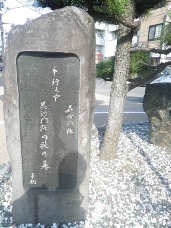 f:id:uchikoyoga:20161109231138j:image:h400