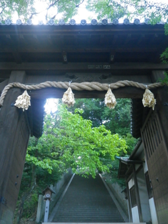 f:id:uchikoyoga:20161109231142j:image:h350:right