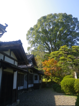 f:id:uchikoyoga:20161112143252j:image:h400
