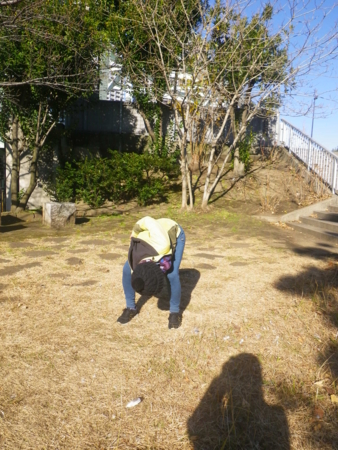 f:id:uchikoyoga:20170101224506j:image:h400