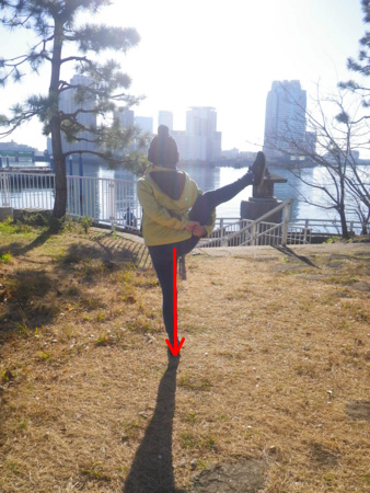 f:id:uchikoyoga:20170102003359j:image:h400