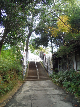 f:id:uchikoyoga:20171110150546j:image:h450