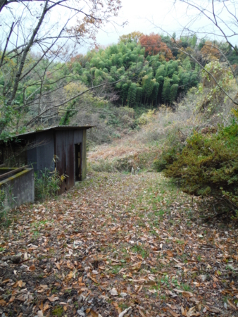 f:id:uchikoyoga:20171214072218j:image:h450 f:id:uchikoyoga:20171214072218j:image:h450