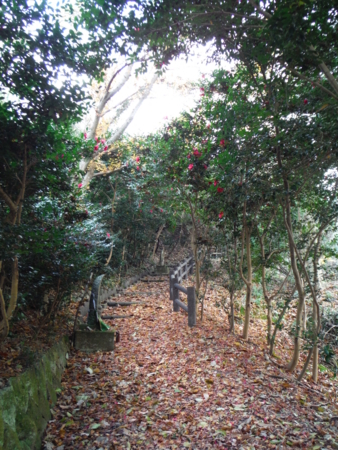 f:id:uchikoyoga:20171214072225j:image:h450 f:id:uchikoyoga:20171214072225j:image:h450