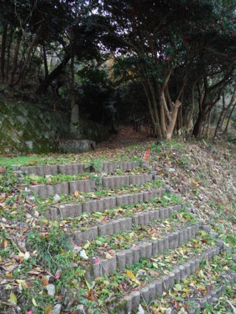 f:id:uchikoyoga:20171214072226j:image:h450 f:id:uchikoyoga:20171214072226j:image:h450