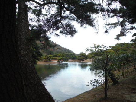 f:id:uchikoyoga:20171214082613j:image:w450