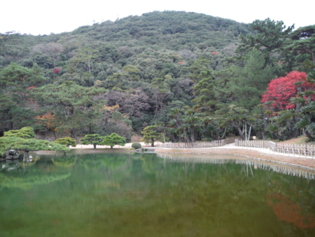 f:id:uchikoyoga:20171214082615j:image:w450
