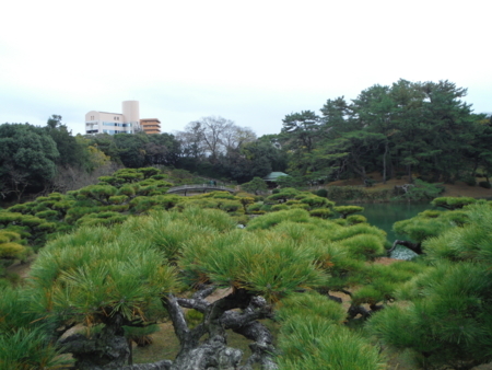 f:id:uchikoyoga:20171214082619j:image:w450