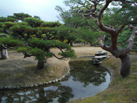 f:id:uchikoyoga:20171214082621j:image:w450
