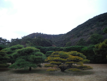 f:id:uchikoyoga:20171214082625j:image:w450