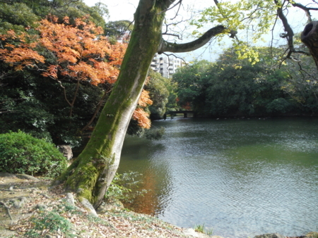 f:id:uchikoyoga:20171214082629j:image:w450