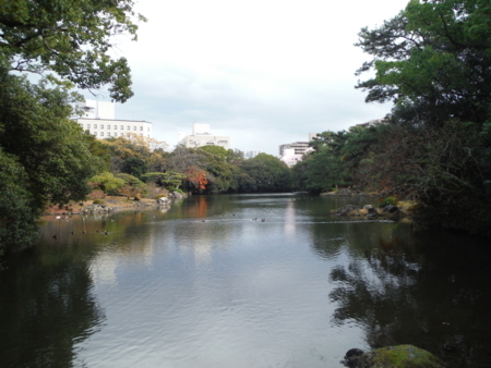 f:id:uchikoyoga:20171214082632j:image:w450