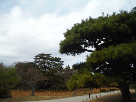 f:id:uchikoyoga:20171214082634j:image:w450