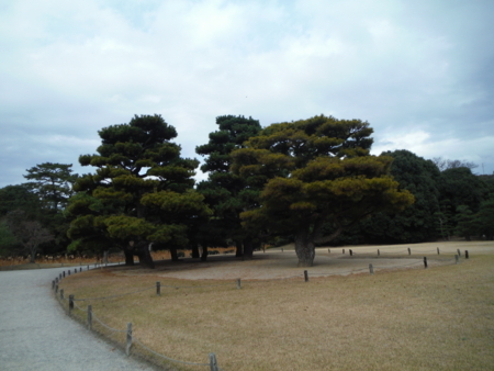 f:id:uchikoyoga:20171214082636j:image:w450