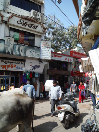 f:id:uchikoyoga:20180112212909j:image:h450